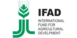 International Fund for Agricultural Development logo