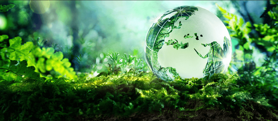 Environment & Climate